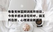 布鲁克林篮网队的简介-九游娱乐网站